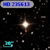 HD 235613