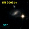 SN 2003bv