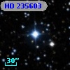 HD 235603
