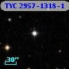 TYC 2957-1318-1