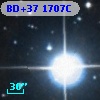BD+37  1707C