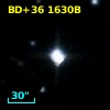 BD+36  1630B