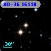 BD+36  1611B