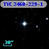 TYC 2460-229-1