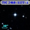 TYC 2460-1177-1