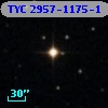 TYC 2957-1175-1