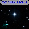 TYC 2459-1166-1