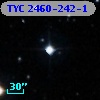 TYC 2460-242-1