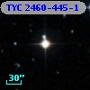 TYC 2460-445-1