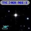 TYC 2460-966-1