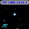 TYC 2460-1124-1