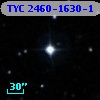 TYC 2460-1630-1