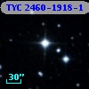TYC 2460-1918-1
