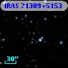 IRAS 21309+5153