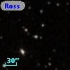 Ross  876