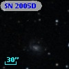 SN 2005D