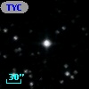 TYC 1350-24-1
