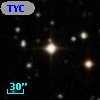 TYC  775-1155-1