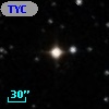 TYC  775-1491-1