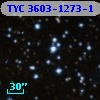 TYC 3603-1273-1