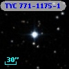 TYC  771-1175-1