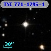 TYC  771-1795-1