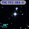 TYC  772-181-1