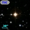 TYC  772-754-1