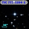 TYC  772-1184-1