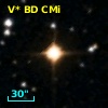 V* BD CMi