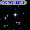 TYC  767-137-1