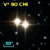 V* BO CMi