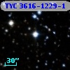 TYC 3616-1229-1
