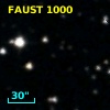 FAUST 1000