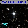 TYC 3616-1795-1