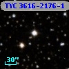 TYC 3616-2176-1
