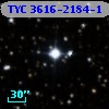 TYC 3616-2184-1