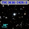 TYC 3616-2428-1