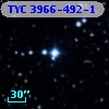 TYC 3966-492-1