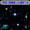 TYC 3966-1107-1
