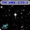 TYC 3966-1273-1