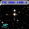 TYC 3966-1490-1