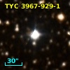 TYC 3967-929-1