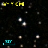 V* Y CMi