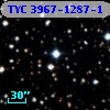 TYC 3967-1287-1