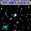TYC 3967-1323-1