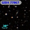 LEDA   77067