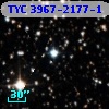 TYC 3967-2177-1