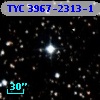 TYC 3967-2313-1