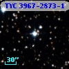 TYC 3967-2873-1